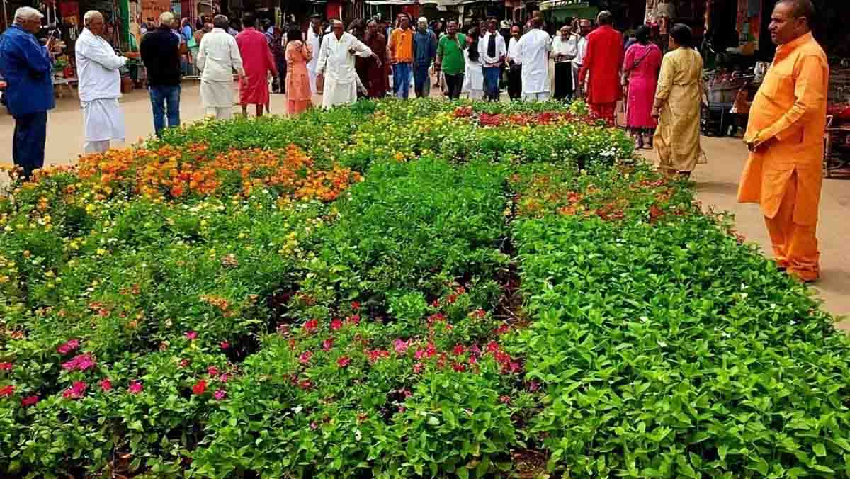 horticulture cultivation : बागवानी की खेती के लिए अब मिलेंगे रोगमुक्त और उच्च गुणवत्ता वाले पौधे