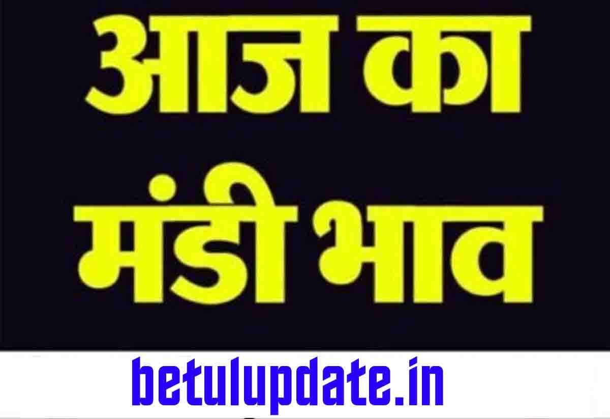 Today Betul Mandi Bhav : बैतूल मंडी में आज 28 नवंबर 2024 के भाव और आवक की स्थिति