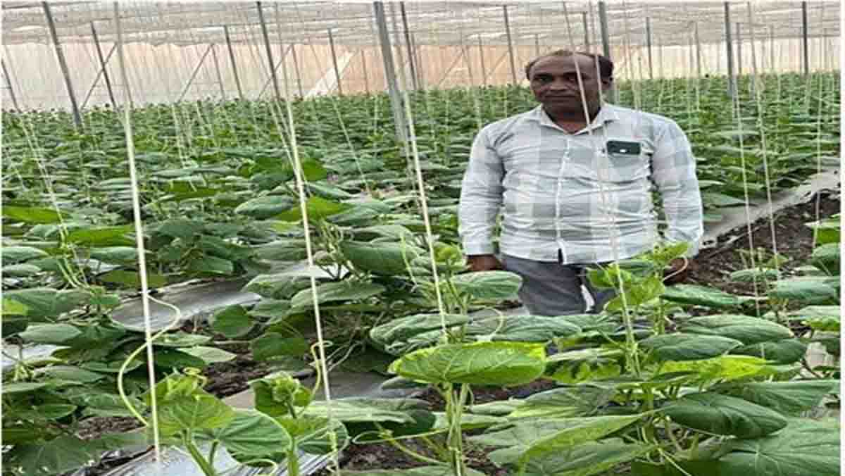 horticulture farming : खेती की नई तकनीक अपनाई तो खेल रहे लाखों में, हो गई जिंदगी खुशहाल