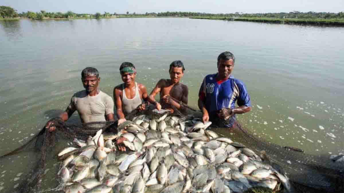 PMMSY : मछली किसानों और मछुआरों को इस योजना में मिलते हैं कई लाभ, आपने लिए कि नहीं?