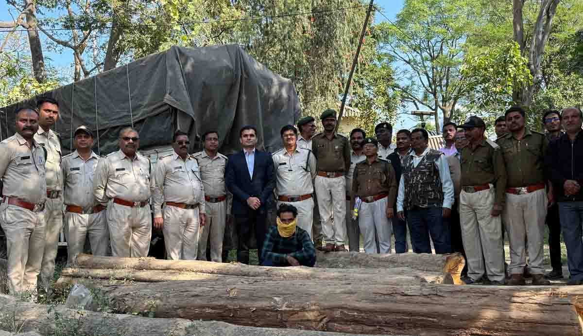 Betul Forest News : सागौन के अवैध परिवहन का आरोपी 7 तक रिमांड पर, पूछताछ में जुटा विभाग