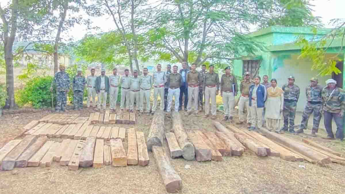 Betul Today News : बैतूल में 90 हजार का अवैध सागौन जब्त, आरोपी फरार, कटर मशीन और औजार भी मिले