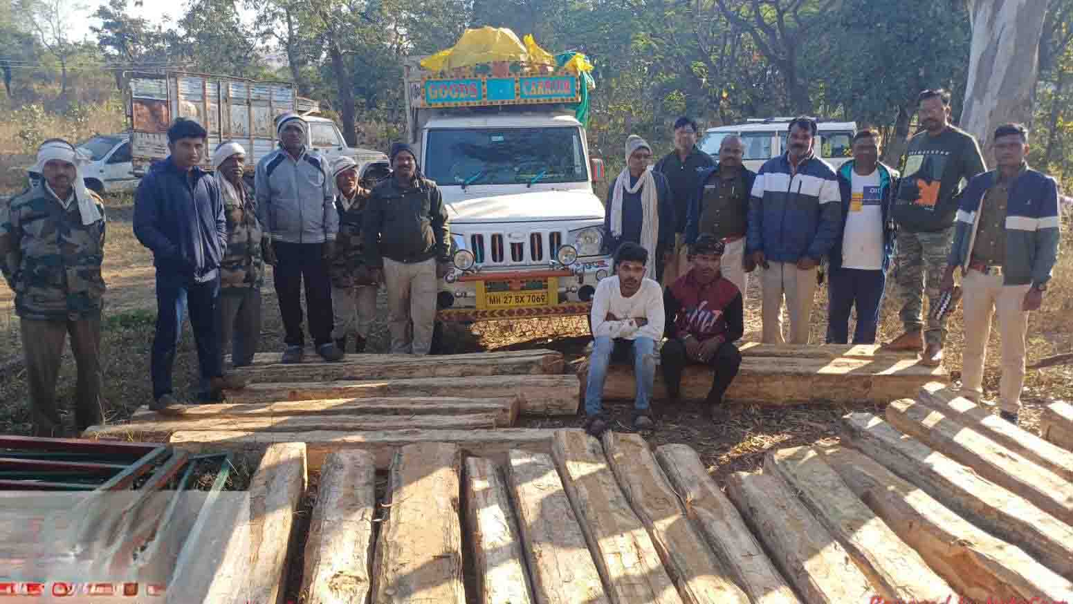 Betul Forest News : बोलेरो से हो रही थी सागौन की तस्करी, वन विभाग ने की जब्त, आरोपी गिरफ्तार