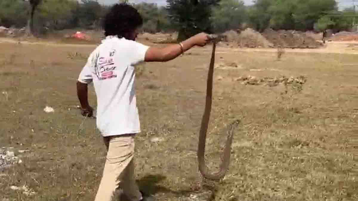 Cobra ka video : स्कूल के पास था खतरनाक कोबरा सांप, तेवर ऐसे कि देखकर खड़े हो जाए रोंगटे