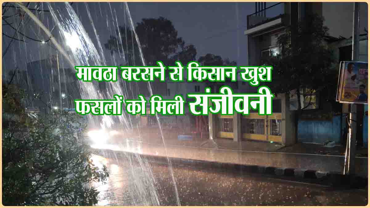 Weather News Today: मावठा बरसने से खिले किसानों के चेहरे, पूस की बारिश से फसलों को मिली संजीवनी