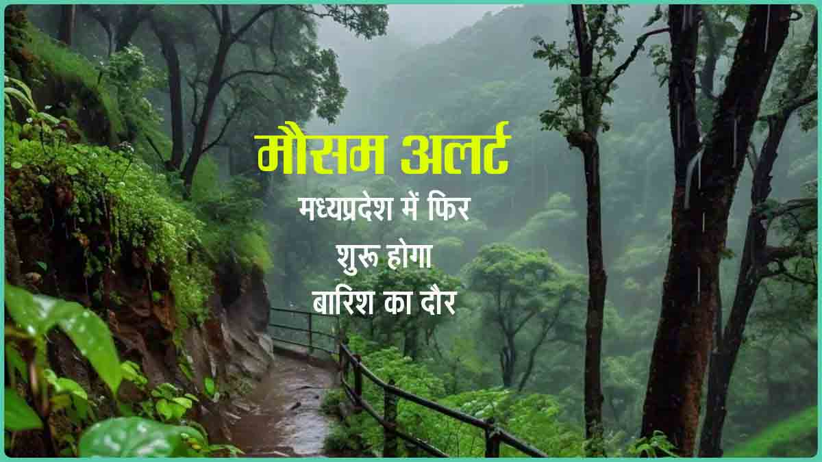 Rain Alert MP : मध्यप्रदेश में बदलेगा मौसम का मिजाज, तीन दिनों तक अधिकांश जिलों में बारिश का अलर्ट