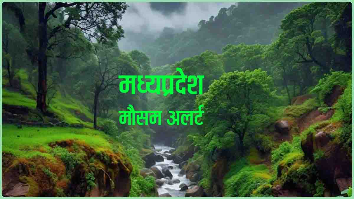 Rain Alert MP: अगले कुछ घंटों में एमपी के इन जिलों में बारिश का अलर्ट, तापमान में हुई बढ़ोतरी
