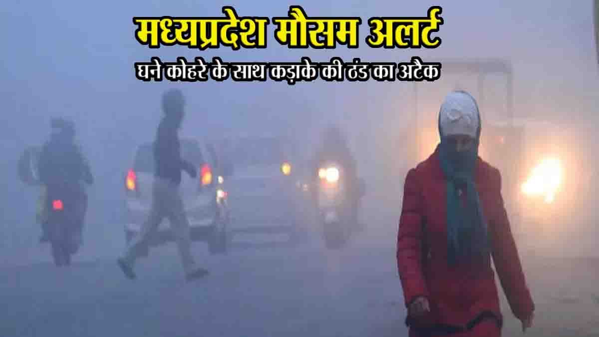 MP Weather Alert: मध्यप्रदेश के 11 जिलों में कड़ाके की ठंड का असर, 14 जिलों में घने कोहरे का अलर्ट