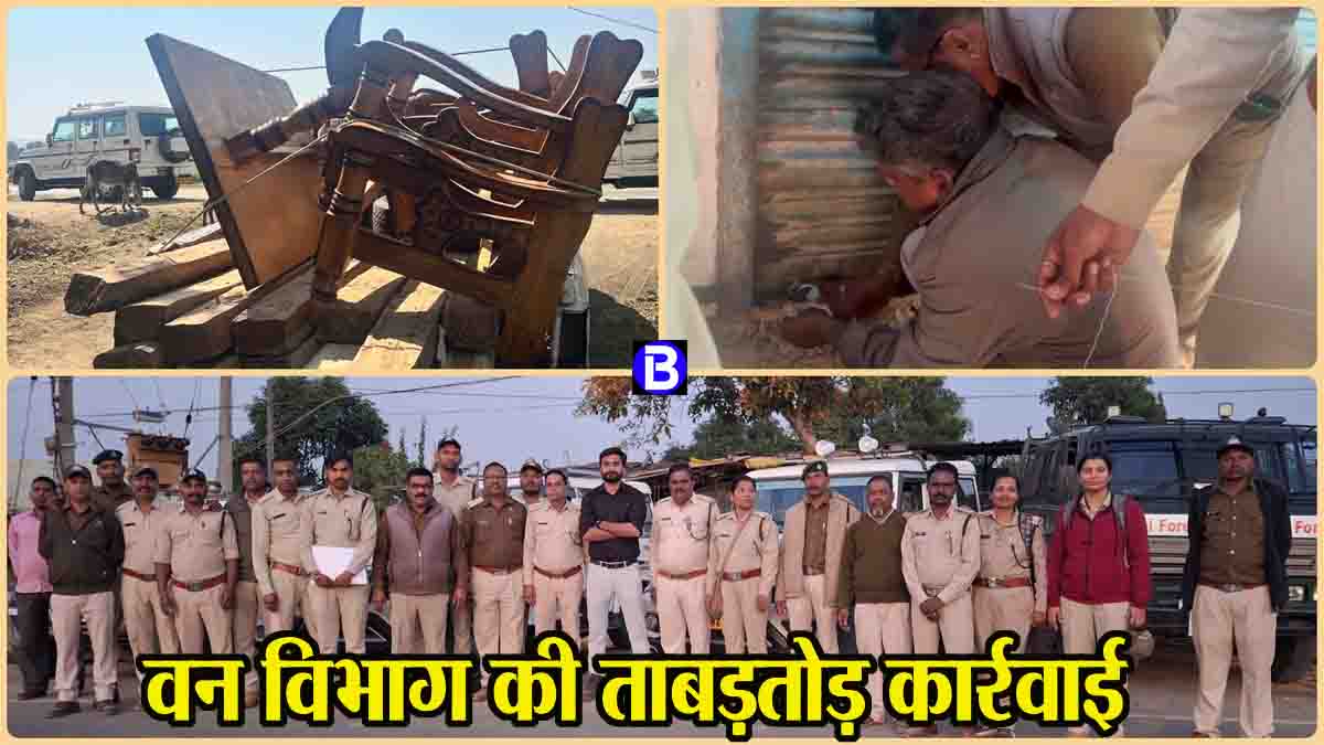 Betul News Today: फॉरेस्ट की टीमों ने एक साथ 7 जगह मारे छापे, खामियां मिलने पर 5 फर्नीचर मार्ट सील, अवैध सागौन जब्त