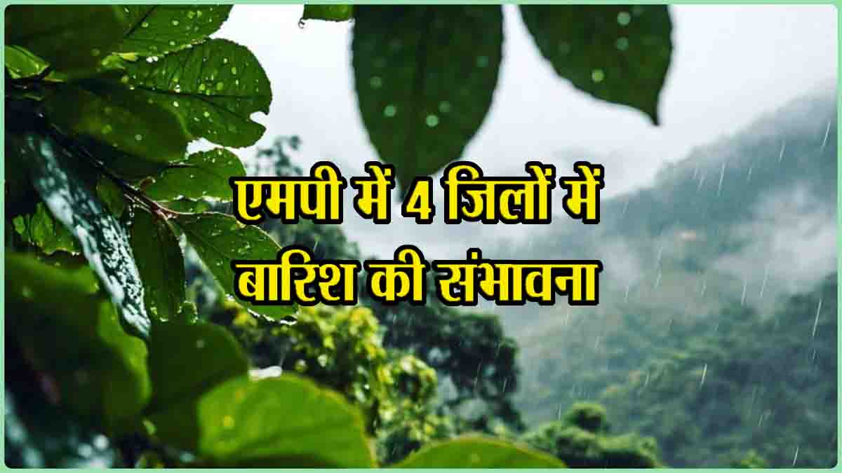 Rain Alert MP: प्रदेश के इन चार जिलों में कल हो सकती है बारिश, बढ़ने के बाद फिर गिरेगा तापमान