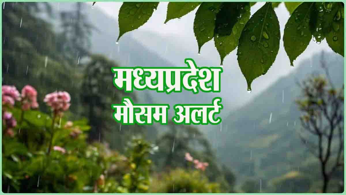 Rain Alert MP: अगले कुछ घंटों में एमपी के इन 13 जिलों में हो सकती है बारिश, 11 जिलों में कोहरे का यलो अलर्ट