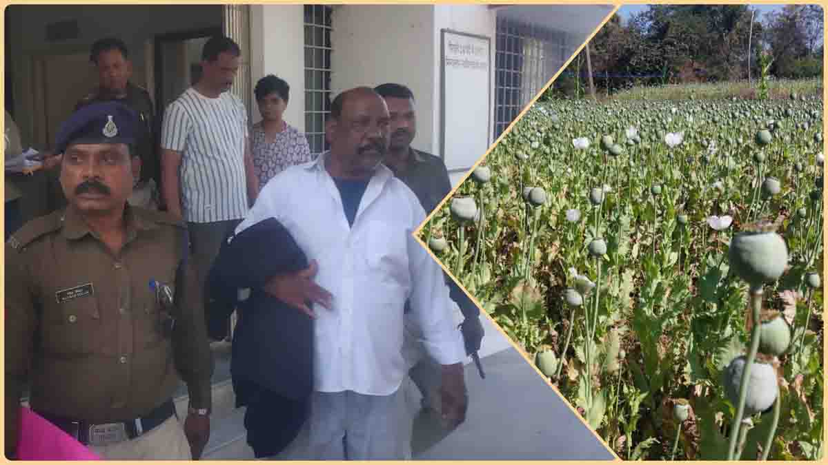 opium cultivation update: अफीम की खेती करने वाले को किया कोर्ट में पेश, गिनती करने पर निकले 44340 पौधे