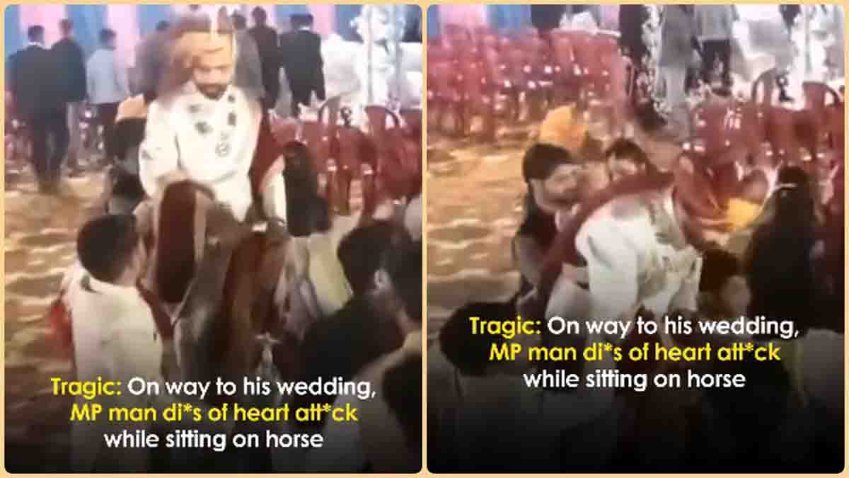 Shadi ka viral video: घोड़ी पर बैठे दूल्हे को हार्ट अटैक, चंद पलों में देखते ही देखते निकल गई जान