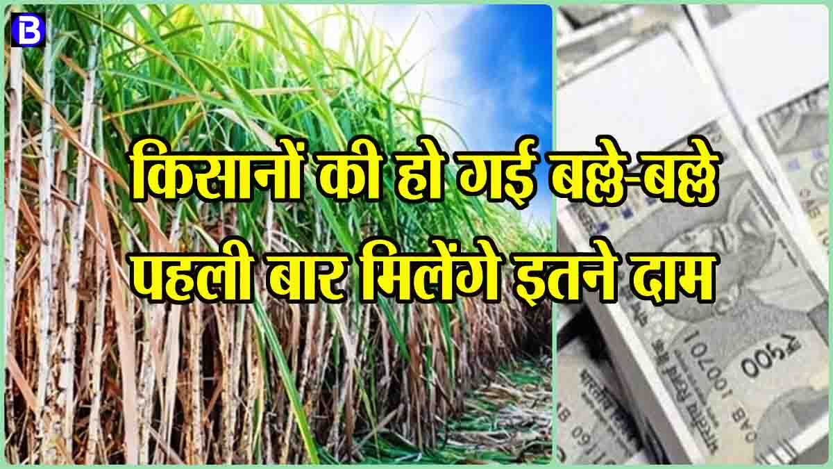 Sugarcane prices 2025: किसानों की बल्ले-बल्ले, बढ़ गए गन्ने के दाम, पहली बार मिलेगी इतनी कीमत