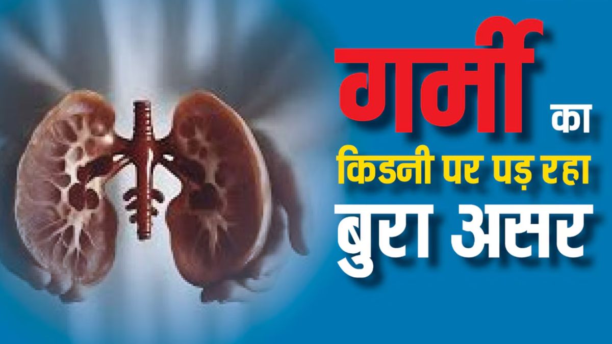 गर्मी में किडनी की सेहत बनायेगे ये सुपरफुड्स, बॉडी बनेगी Healthy आएगी जवानो जैसी फुर्ती