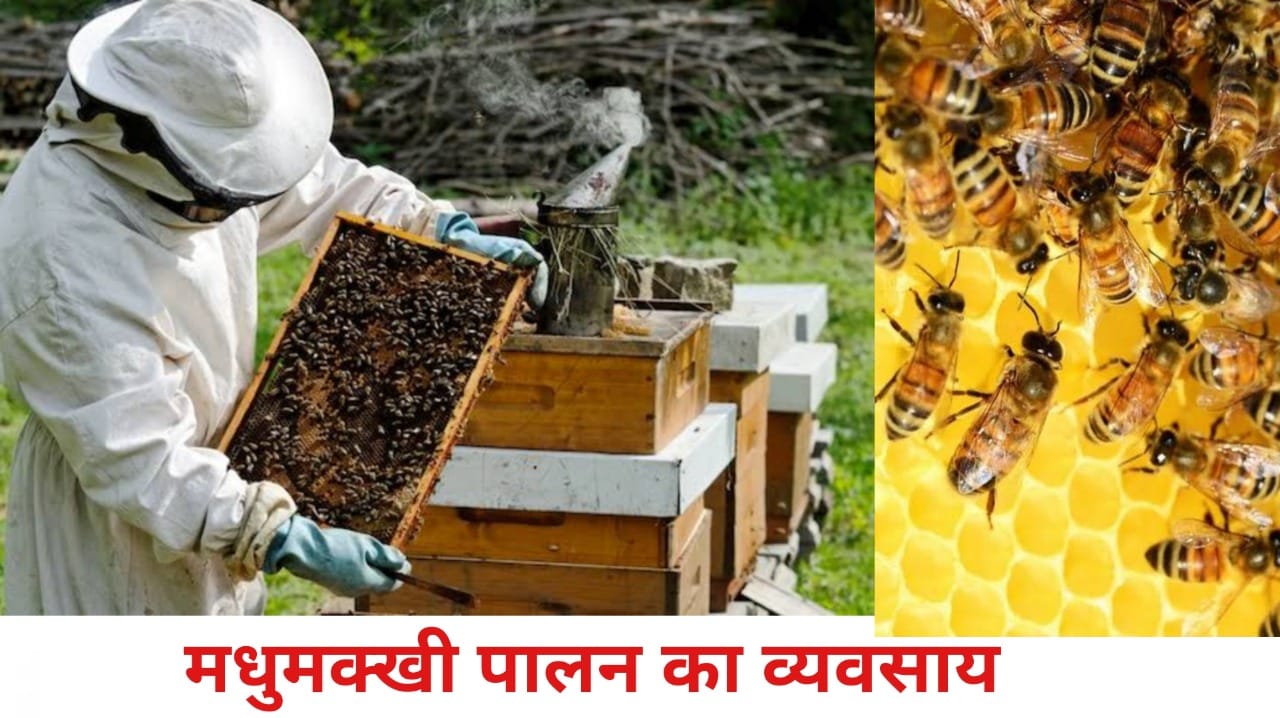 Subsidy for Beekeeping