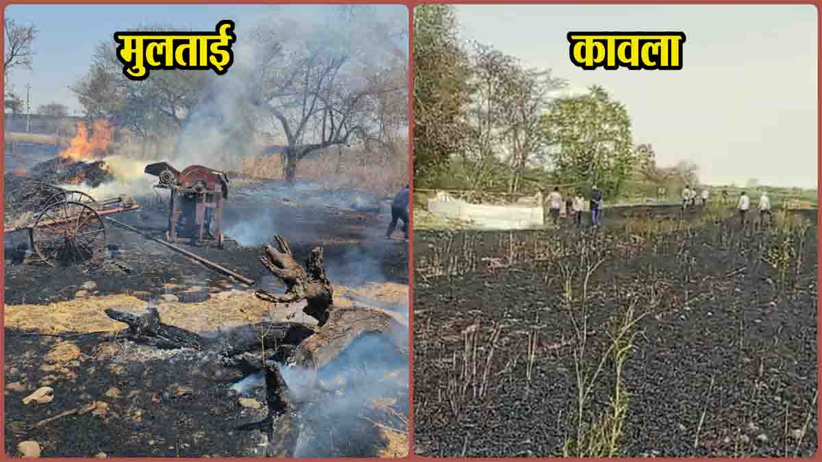 Betul Samachar: आधा दर्जन किसानों के 40 एकड़ खेत में आग, लाखों का नुकसान, रोज हो रही घटनाएं