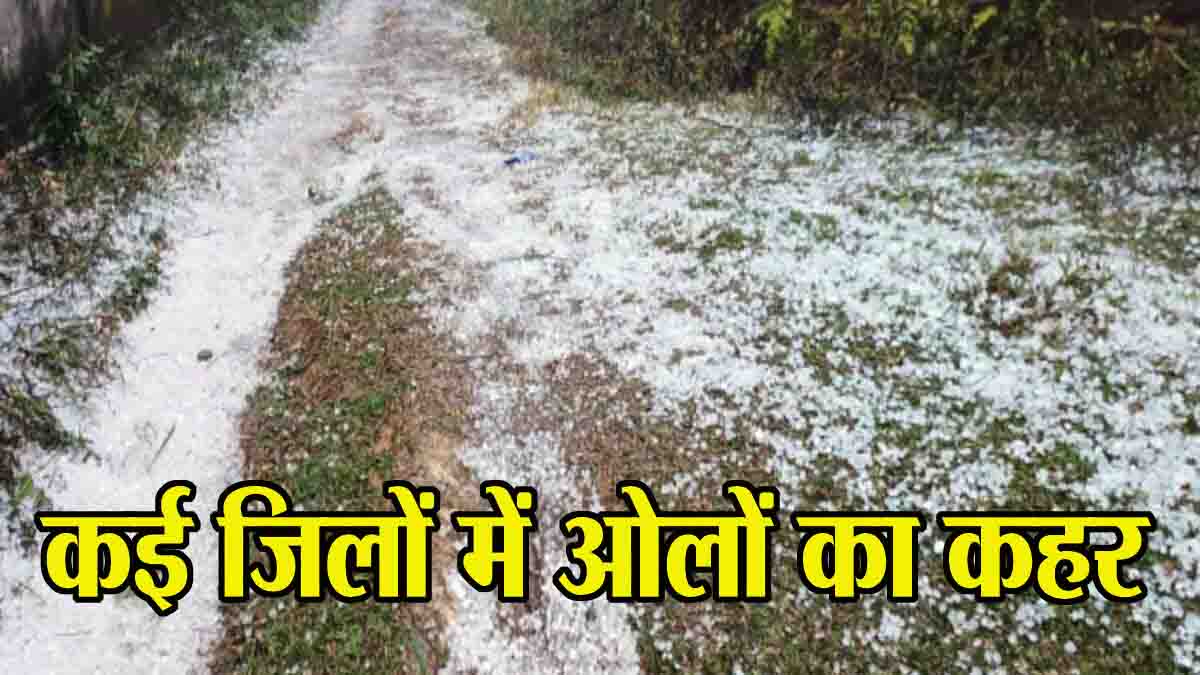 MP Rain Alert: मध्यप्रदेश के आठ जिलों में ओलों का कहर, आज 10 जिलों में बारिश की चेतावनी