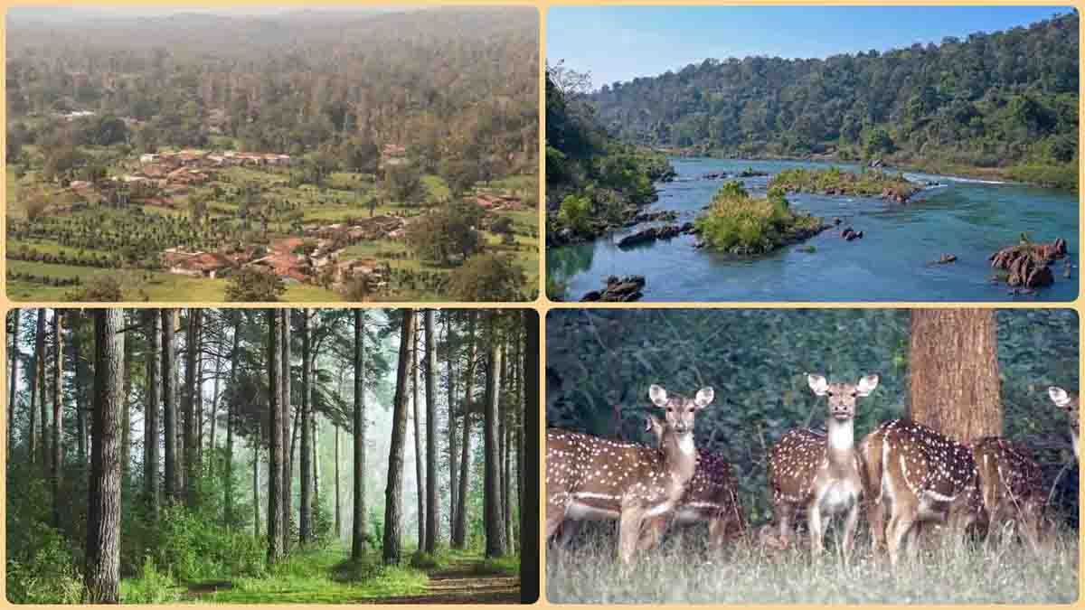 Tourist Places MP: एमपी के बैतूल में बनेगा प्रदेश का पहला ताप्ती कंजर्वेशन रिजर्व, पर्यटकों की बढ़ेगी आवाजाही