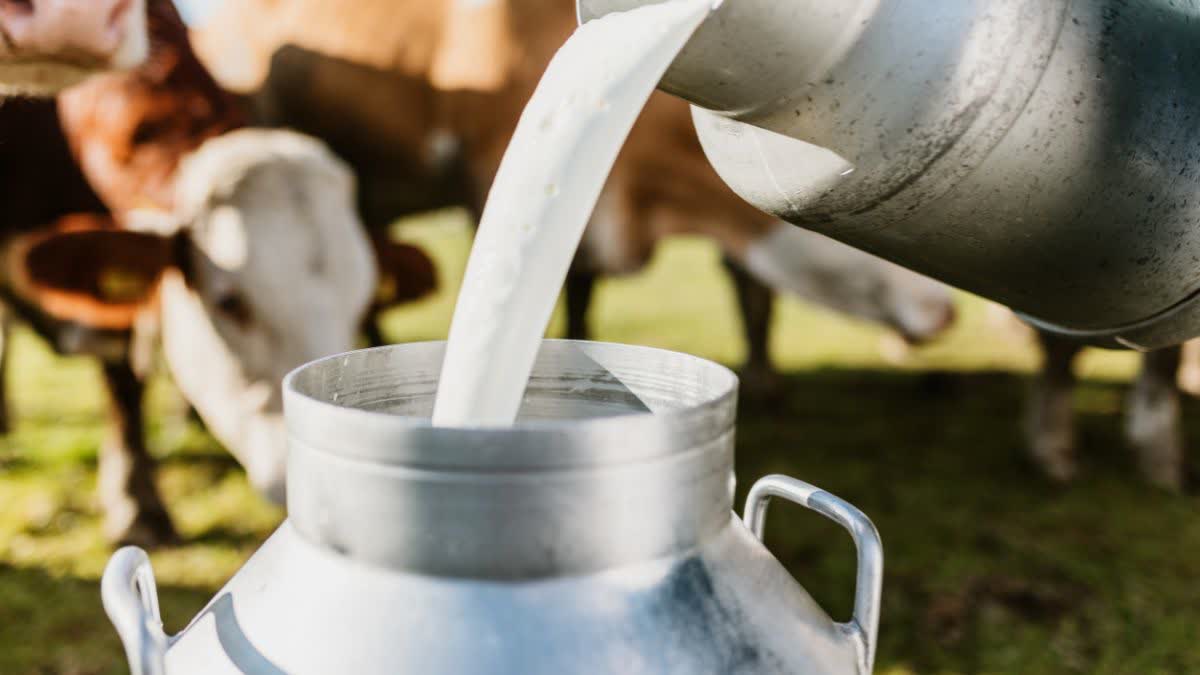 Bonus of Rs 5 per liter on Milk