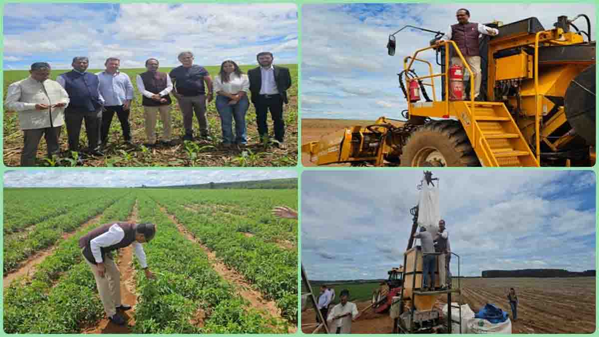 Brazilian farming: ब्राजील में ऐसे होती है सोयाबीन और टमाटर की खेती, नजारा देख कृषि मंत्री शिवराज सिंह चौहान भी हो गए दंग