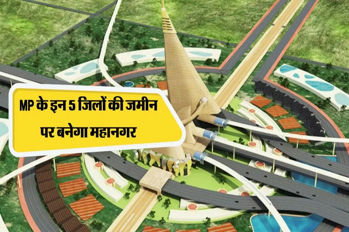 MP Metropolitan City News