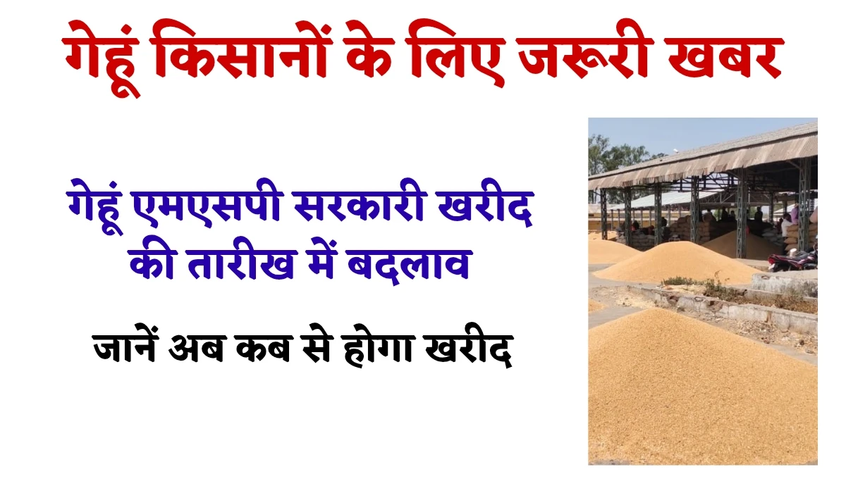 MSP Wheat Purchase 2025