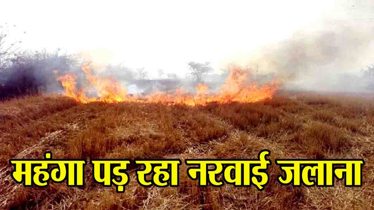 Kheti kisani: महंगा पड़ रहा नरवाई जलाना, प्रशासन हुआ सख्त, अभी तक 32 किसानों पर एफआईआर दर्ज