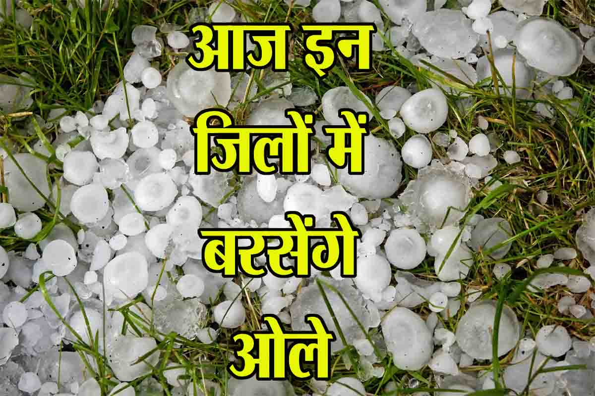 MP Weather Alert: बदला मौसम, अगले कुछ घंटों में 21 जिलों में बारिश और 5 में ओलावृष्टि का अलर्ट