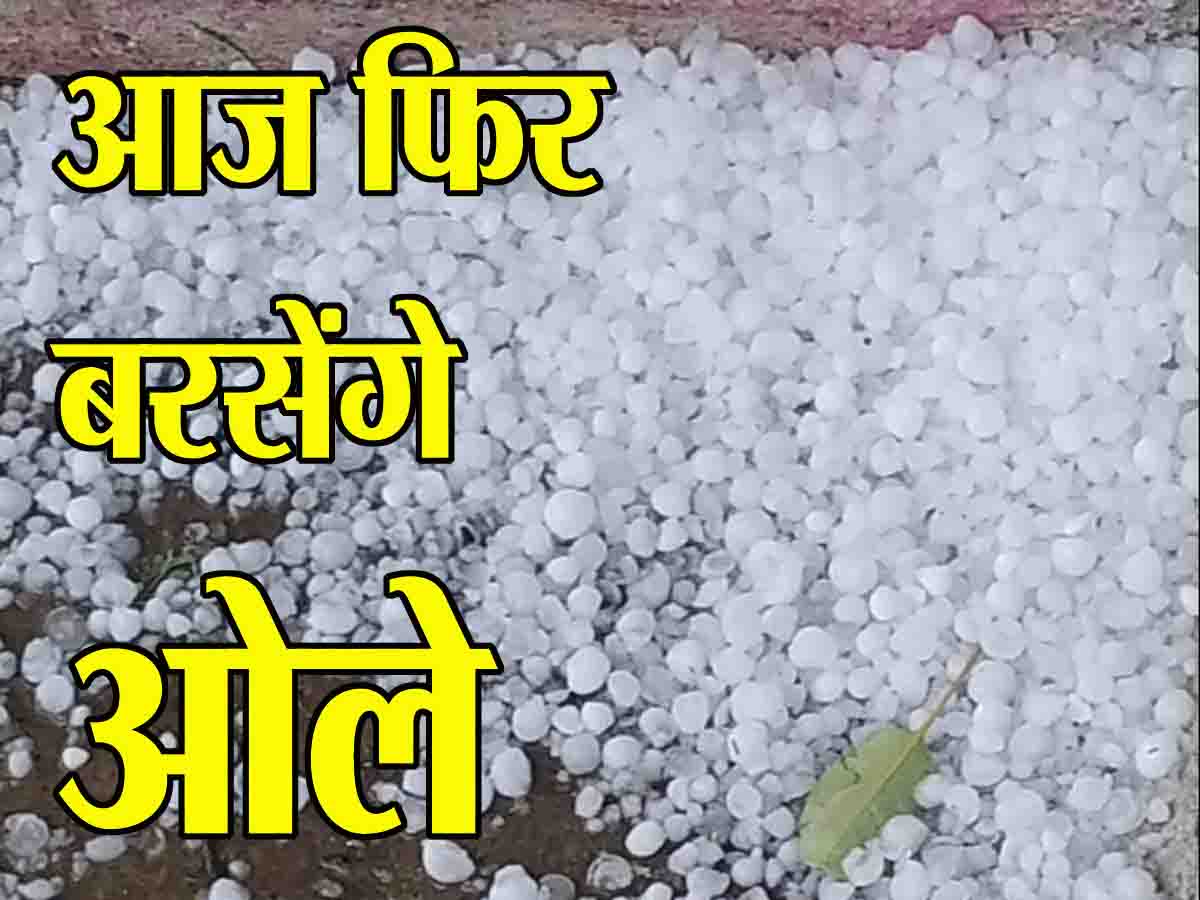 MP Weather Alert: अगले कुछ घंटों में इन जिलों में गिरेंगे ओले, प्रदेश के अधिकांश हिस्सों में होगी भारी बारिश