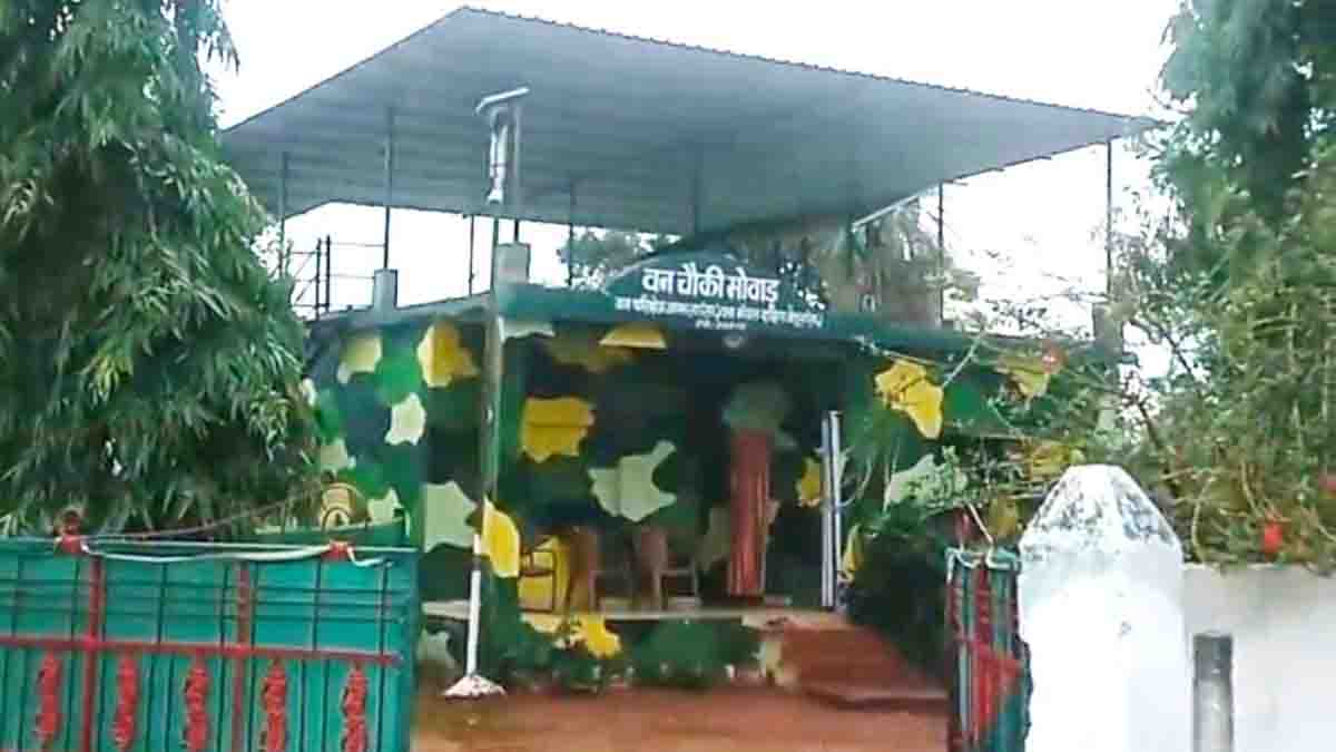 Betul Forest Beat Guard Suspension: बैतूल के आमला रेंज में बीट गार्ड सस्पेंड, अवैध कटाई और मुरम खुदाई का मामला