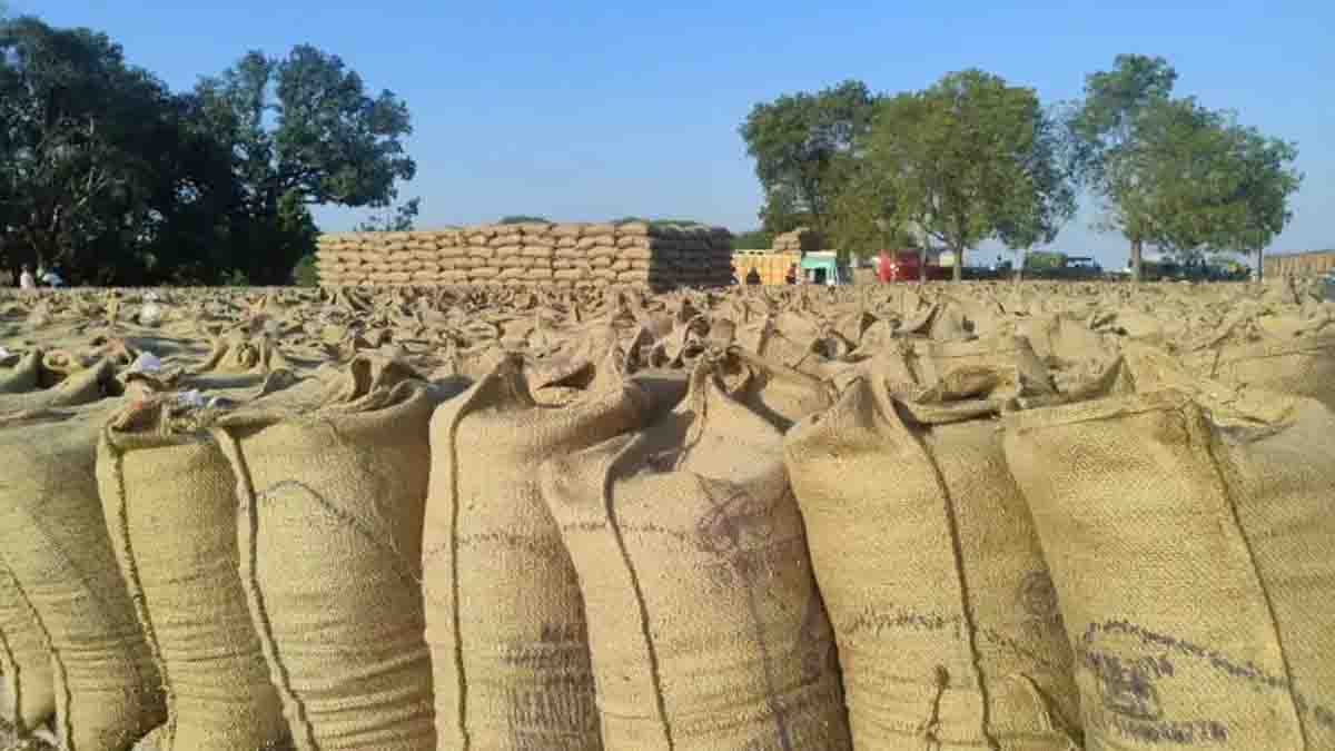 MP procurement centers: एमपी में बड़ा फैसला: अब गोदामों में ही बनेंगे उपार्जन केंद्र, किसानों को मिलेगी राहत